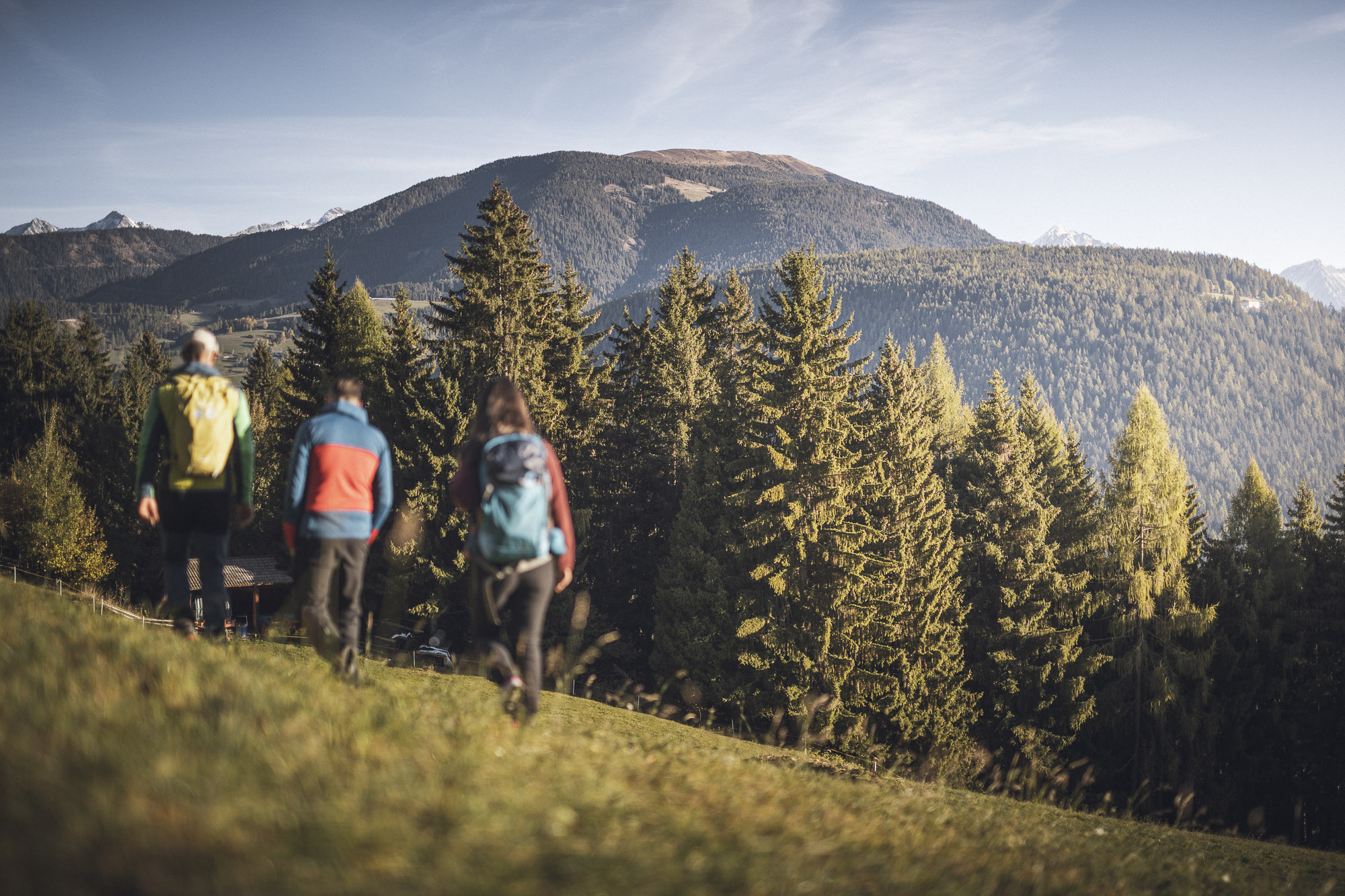 Almwanderung (C) Kottersteger (5)